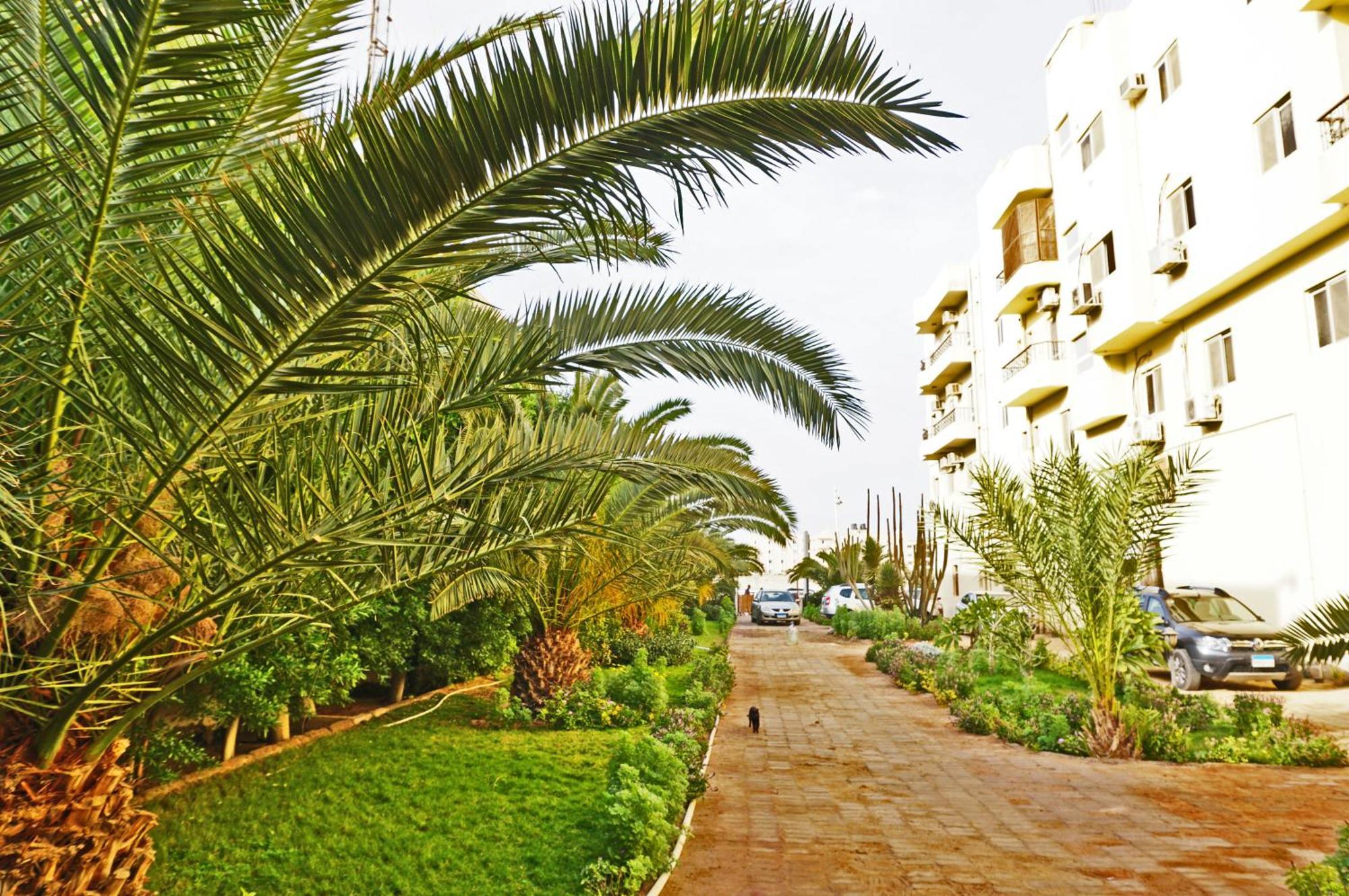 Modern Mountain View On The Touristic Promenade Lejlighed Hurghada Eksteriør billede